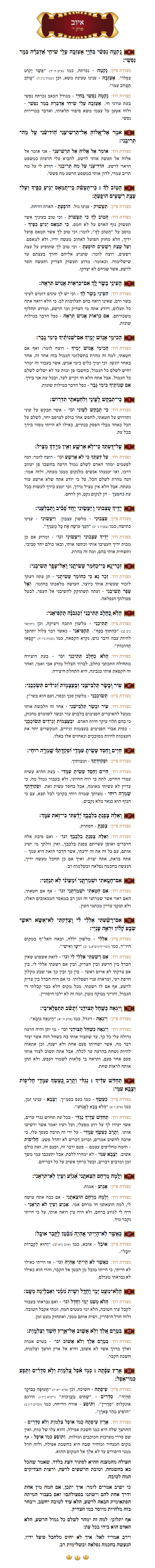 Sefer Iyov Chapter 10 with commentary