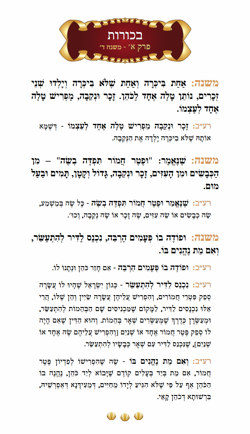 Masechta Bechoros Chapter 1 Mishnah 4 with commentary