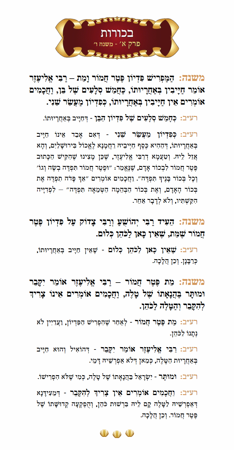 Masechta Bechoros Chapter 1 Mishnah 6 with commentary