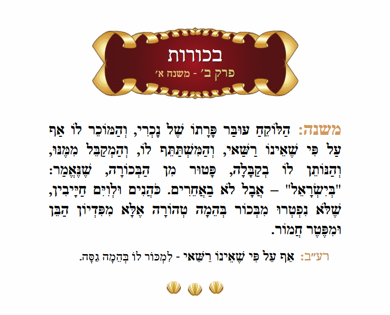 Masechta Bechoros Chapter 2 Mishnah 1 with commentary