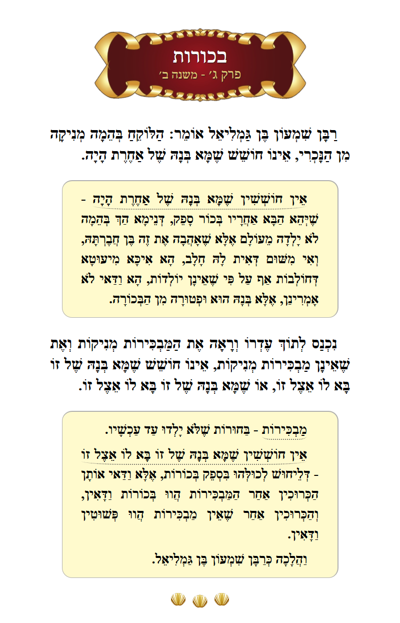 Masechta Bechoros Chapter 3 Mishnah 2 with commentary