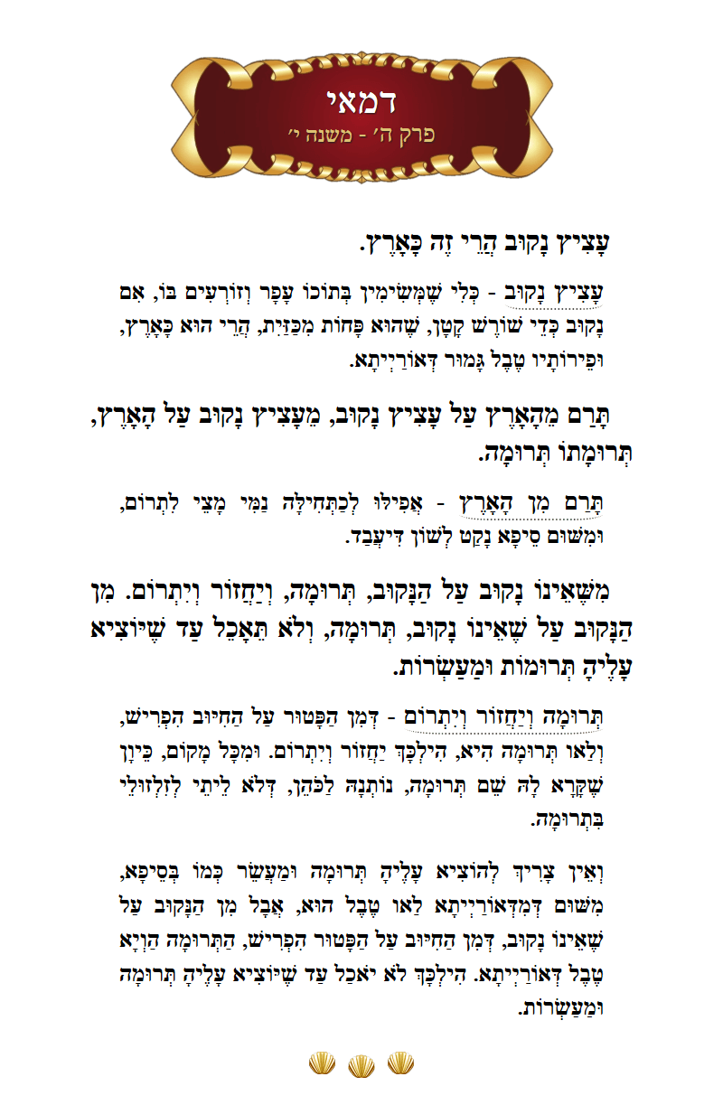 Masechta Demai Chapter 5 Mishnah 10 with commentary
