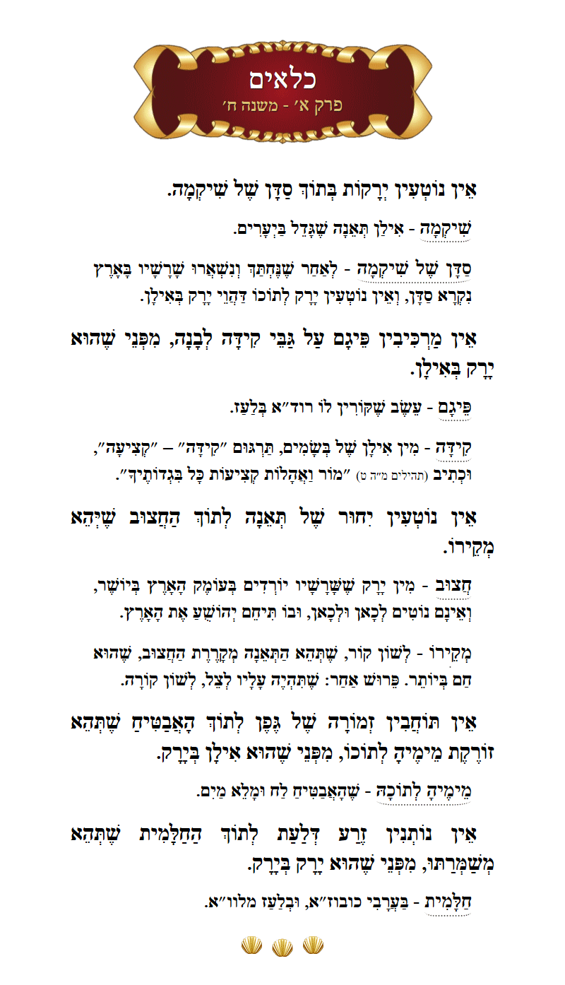 Masechta Kilayim Chapter 1 Mishnah 8 with commentary