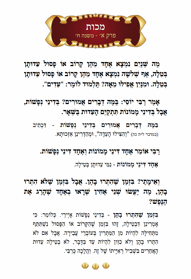Masechta Makkos Chapter 1 Mishnah 8 with commentary