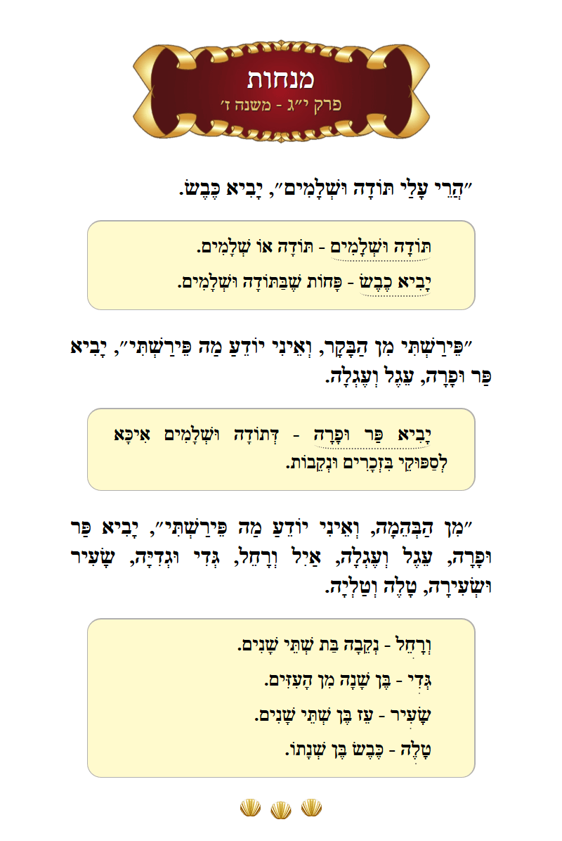 Masechta Menachos Chapter 13 Mishnah 7 with commentary