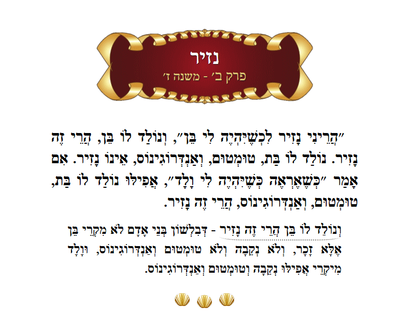 Masechta Nazir Chapter 2 Mishnah 7 with commentary