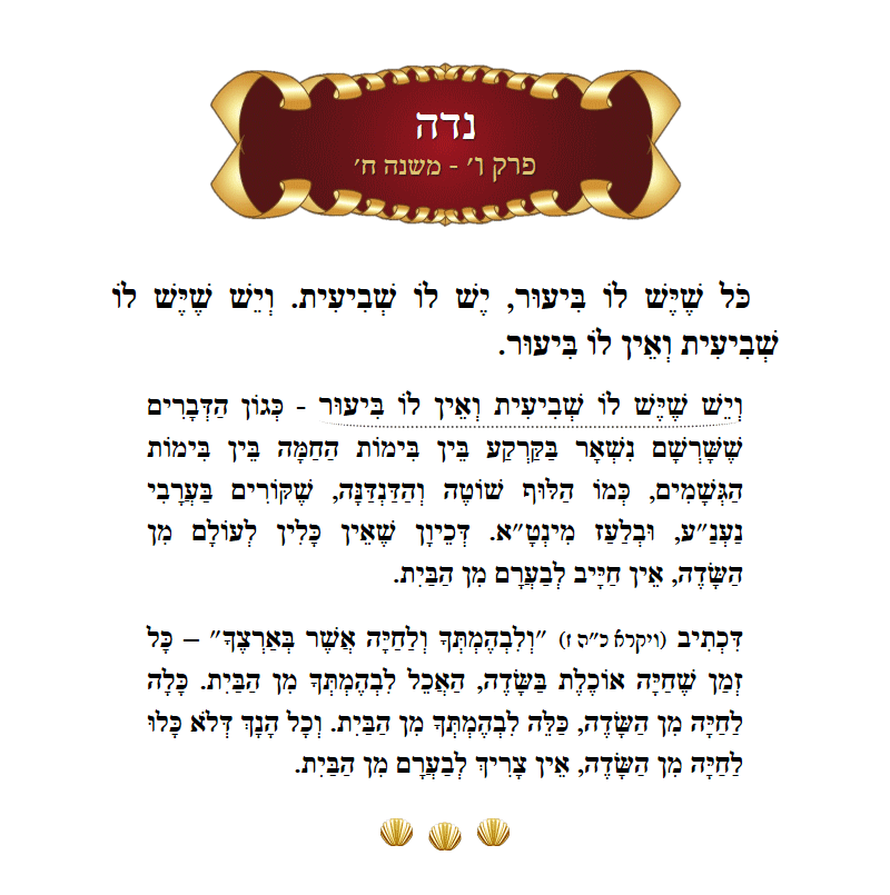 Masechta Niddah Chapter 6 Mishnah 8 with commentary