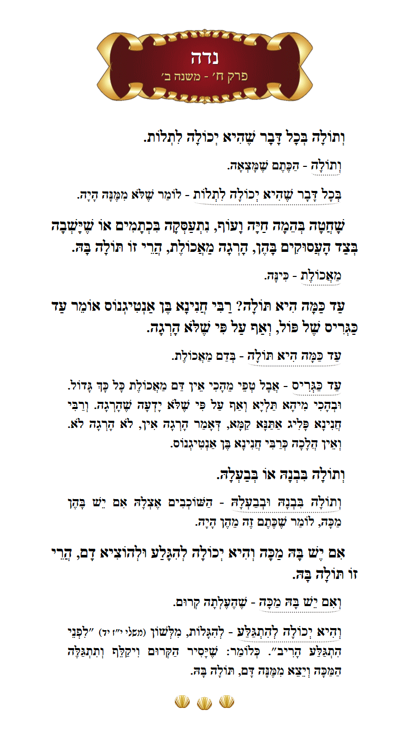 Masechta Niddah Chapter 8 Mishnah 2 with commentary