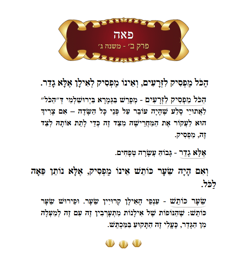Masechta Peah Chapter 2 Mishnah 3 with commentary