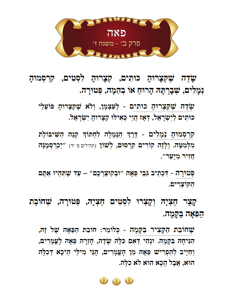 Masechta Peah Chapter 2 Mishnah 7 with commentary