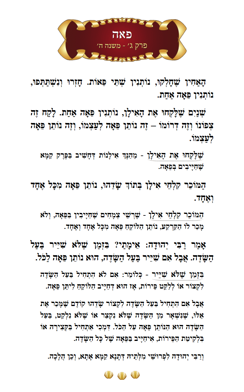 Masechta Peah Chapter 3 Mishnah 5 with commentary