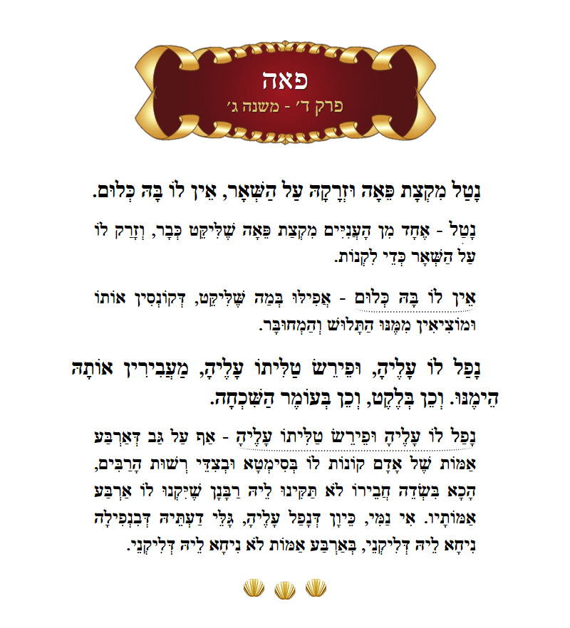 Masechta Peah Chapter 4 Mishnah 3 with commentary