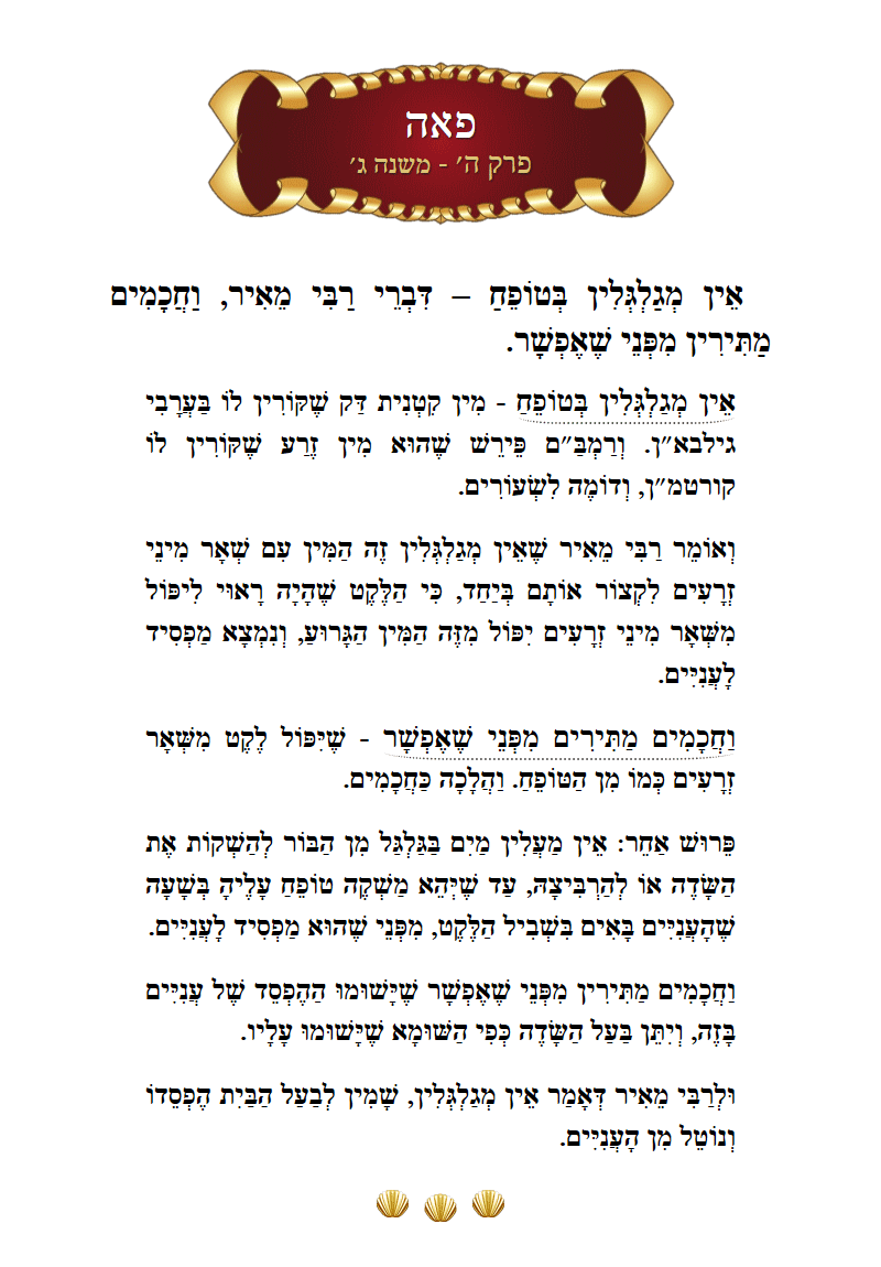Masechta Peah Chapter 5 Mishnah 3 with commentary