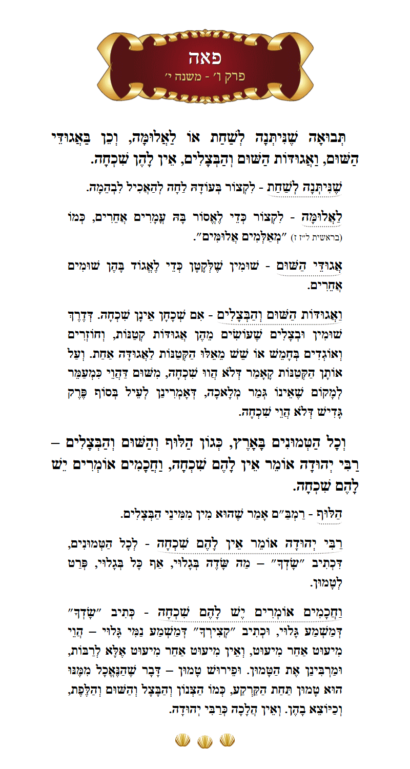 Masechta Peah Chapter 6 Mishnah 10 with commentary