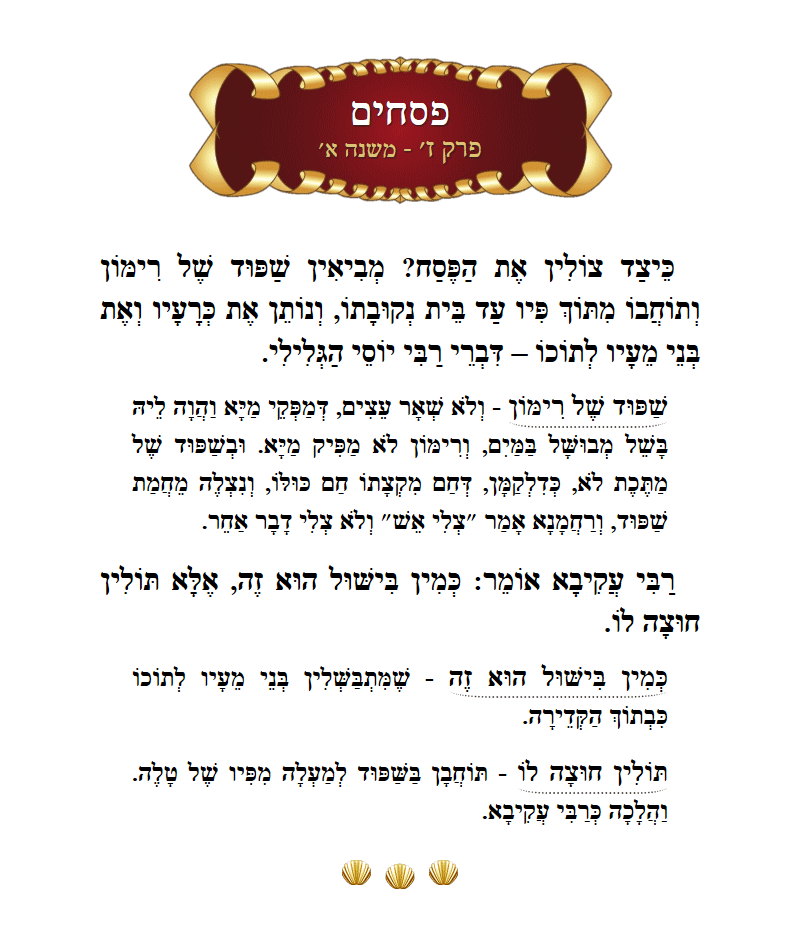 Masechta Pesachim Chapter 7 Mishnah 10 with commentary