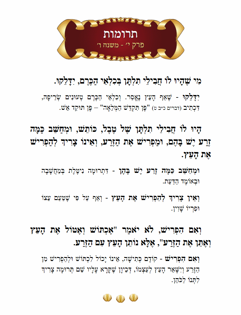 Masechta Terumos Chapter 10 Mishnah 6 with commentary