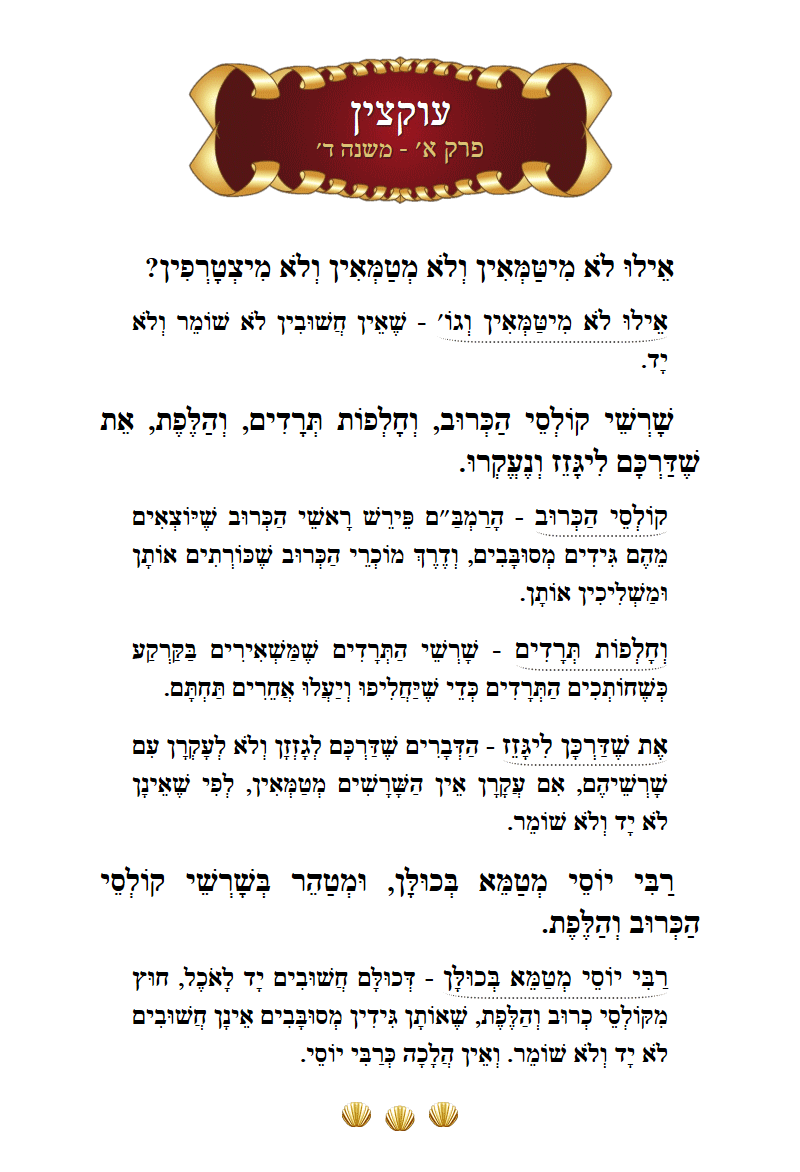 Masechta Uktzin Chapter 1 Mishnah 4 with commentary