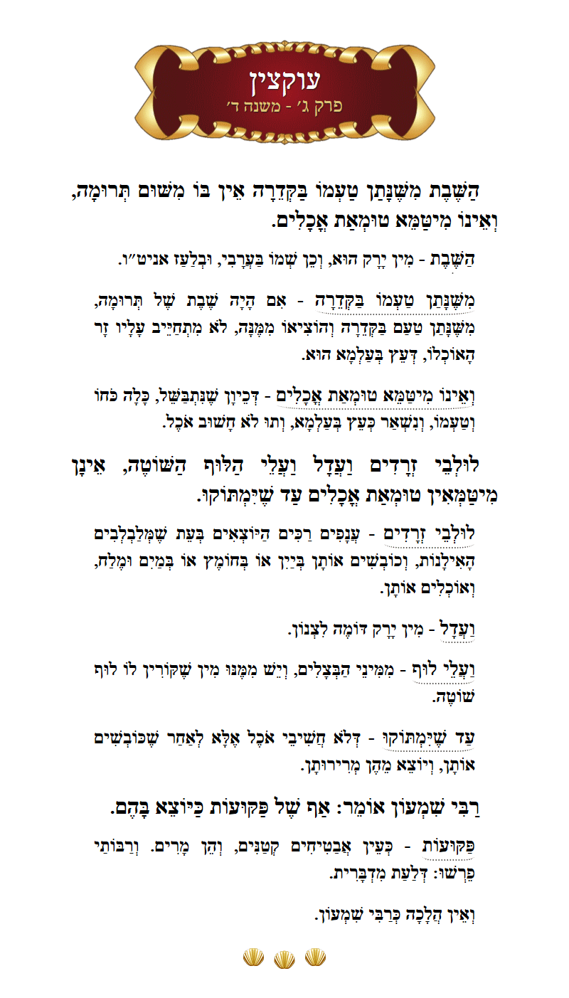 Masechta Uktzin Chapter 3 Mishnah 4 with commentary